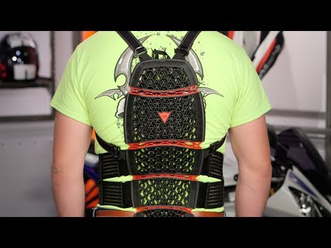 Dainese Pro-Armor Back Protector Review at RevZilla.com