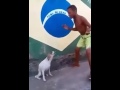 Тансор диско