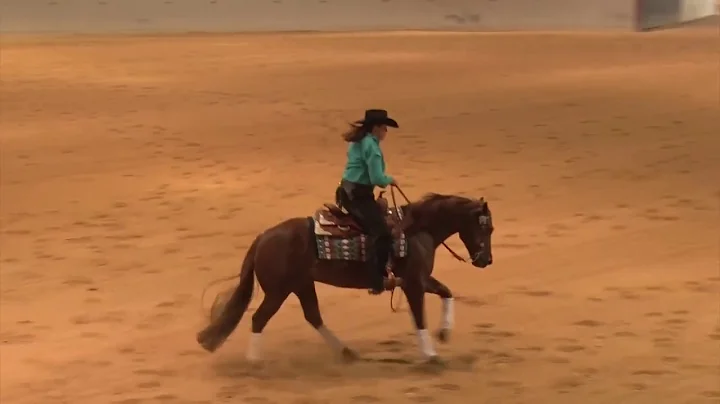 191101 Novice Horse Shannon Rafacz on Begnsteal Li...