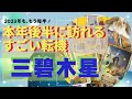 三碧木星さん✨🪴2023年下半期に起こるものすごい転機✨⤴️✨霊感リーディングしてみました✨❤️実は気付いてみたら大きな幸福は目の前だった❣️❓✨