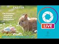 Easter - kifejezések a húsvéttal kapcsolatban