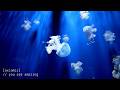 You Are Amazing 🌊 Positive Energy Music | Morning Chill Deep House 2026 ♬ˎˊ˗ Axiomic