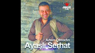 Ayaşlı Serhat - Kar Yolla Resimi