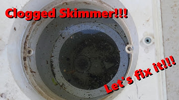 Unclogging a Pool Skimmer with Drain King