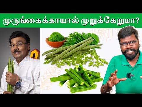 History of Moringa | முருங்கைக்காயின் வரலாறு | Unavu Arasiyal | Big Bang Bogan