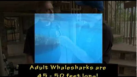 Shark Expert Bob Hueter