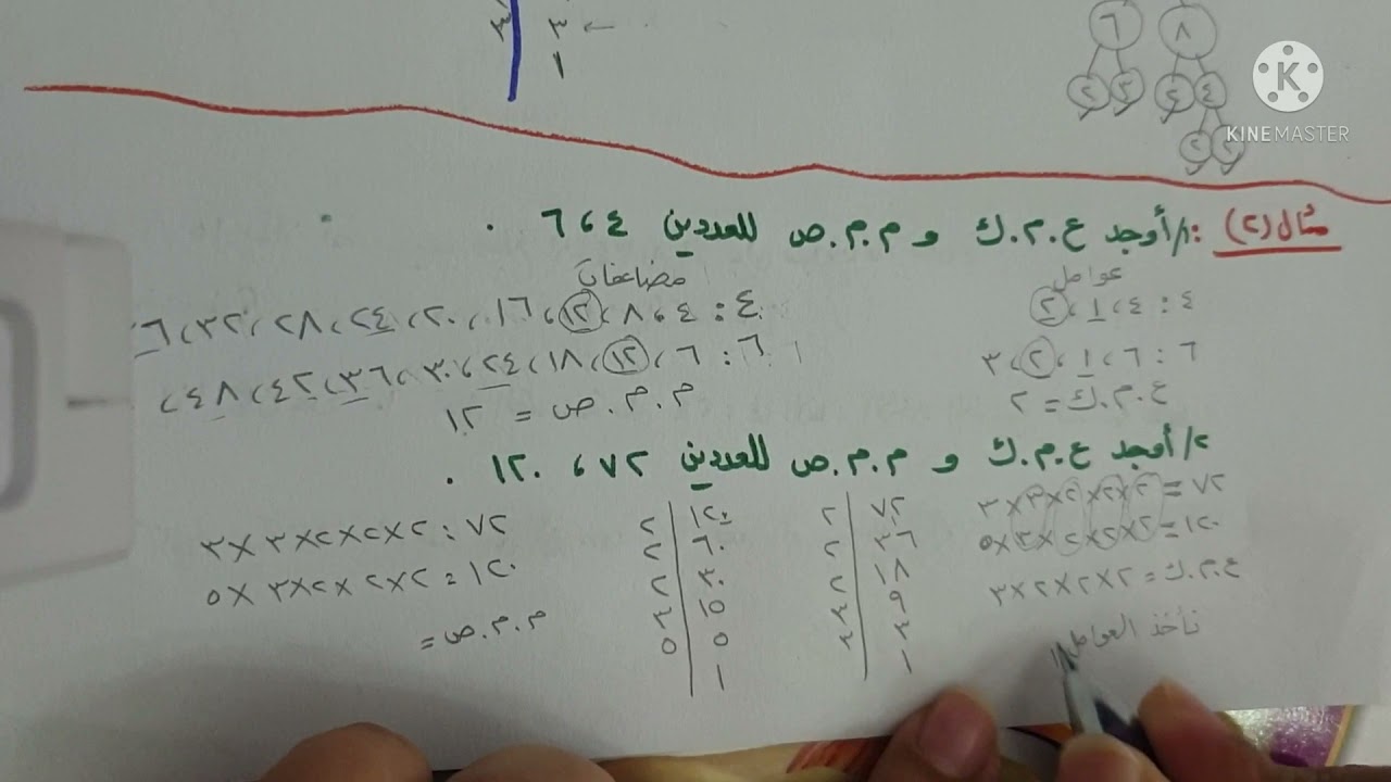 الأعداد الأولية - تاسع ف١