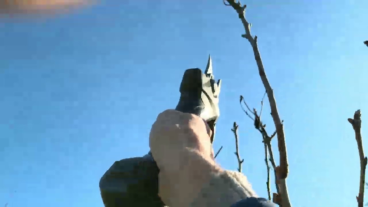 Зимняя Обрезка Груши😊Как и что резать?