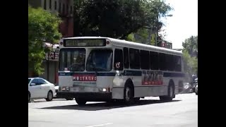 MTA New York City Bus: 1999 OBI Orion V #6168 on the Bx10 Bus.