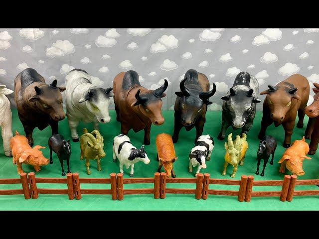 GIANT OXES, GIANT HORSES AND OTHER FARM ANIMALS/BOIS GIGANTES, CAVALOS GIGANTES E OUTROS ANIMAIS class=