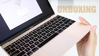 Goldenes MacBook: Unboxing & Übersicht