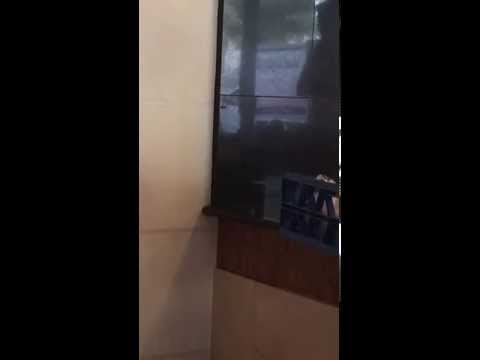 صراصير في مطعم البحصلي يوم الخميس ٢٩ ٥ ٢٠١٤