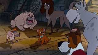 [1080p HD] Oliver & Company - Dont wanna mix with the riffraff (clip)