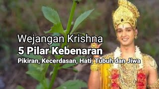 Wejangan Krishna | 5 Pilar Kebenaran