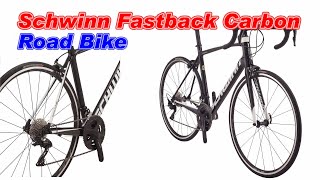 Schwinn Fastback Carbon 105 Road Bike