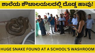 SNAKE RESCUE #152