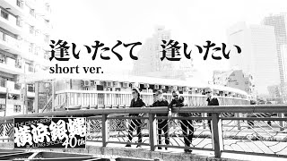 逢いたくて 逢いたい（short ver.) / 横浜銀蝿40th