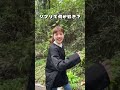 【お散歩】ジブリで何が好き？🌳