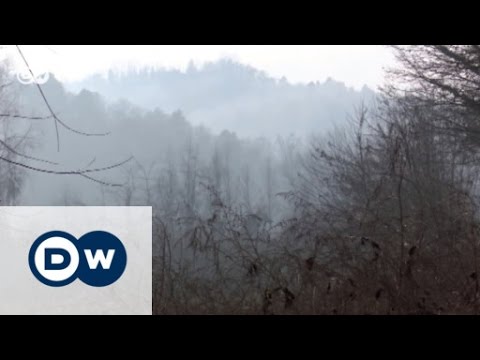 Video: Herbstfeste der weißen Trüffel in Italien