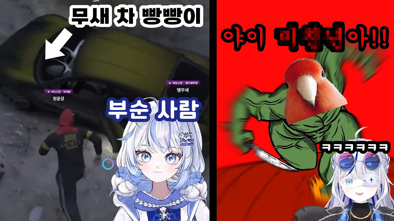 망키 때문에 개빡쳐버린 무새