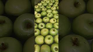 #redapples #greenapples #fruits