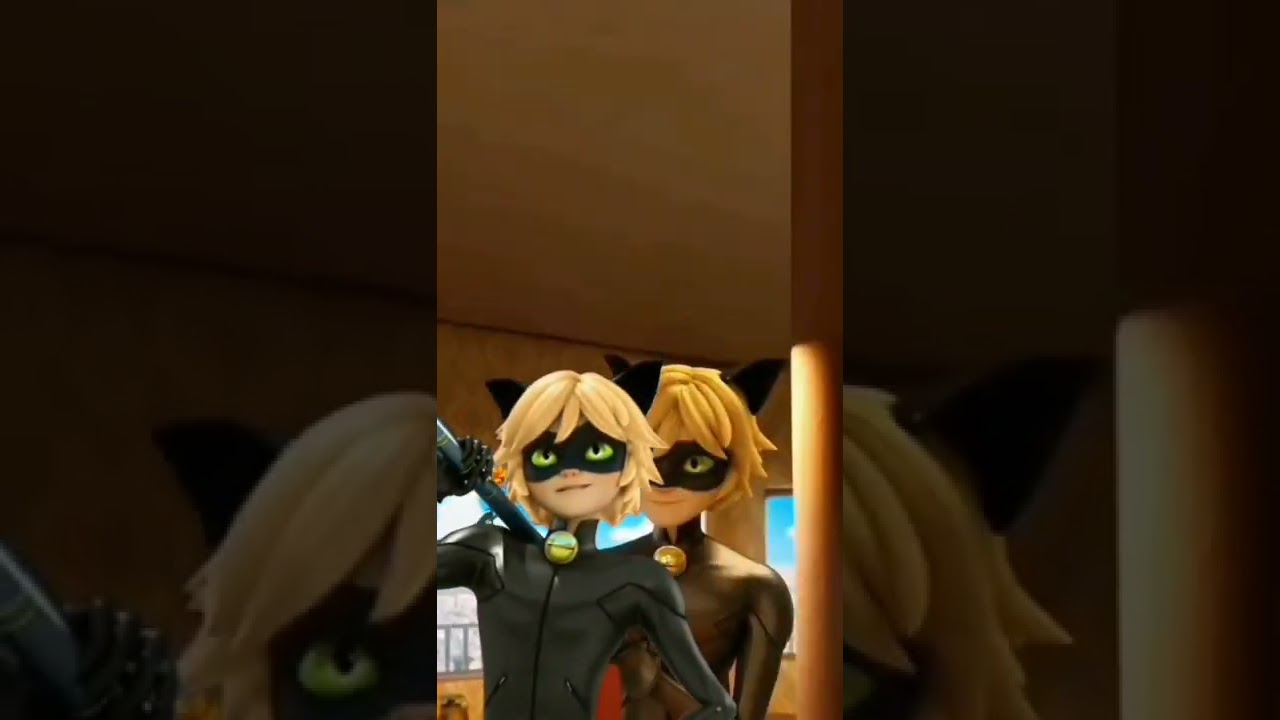 lights camera action 🎶🎶