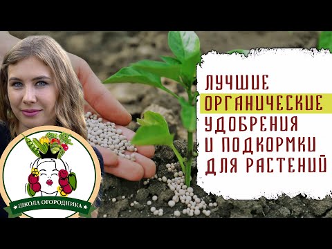 ЛУЧШИЕ ОРГАНИЧЕСКИЕ УДОБРЕНИЯ И ПОДКОРМКИ ДЛЯ РАСТЕНИЙ. ЧАСТЬ 1