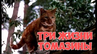 Три Жизни Томазины (1963) The Three Lives Of Thomasina