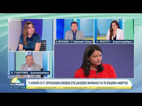 Ν. Μηλαπίδης: Δεν υπάρχει περίπτωση να αλλάξει το επίδομα ανεργίας στην παρούσα φάση | Καλημέρα