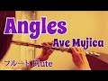 Angles / Ave Mujica【フルートで演奏してみた】&quot;アングルズ&quot; アヴェムジカ BanG Dream!(バンドリ!)