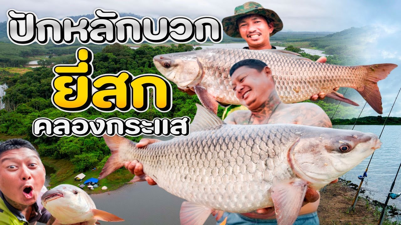 ปักหลักบวก ยี่สก คลองกระแส