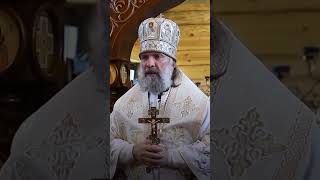 Детоубийства-аборты нужно запрещать на законодательном уровне! Епископ Питирим (Творогов)