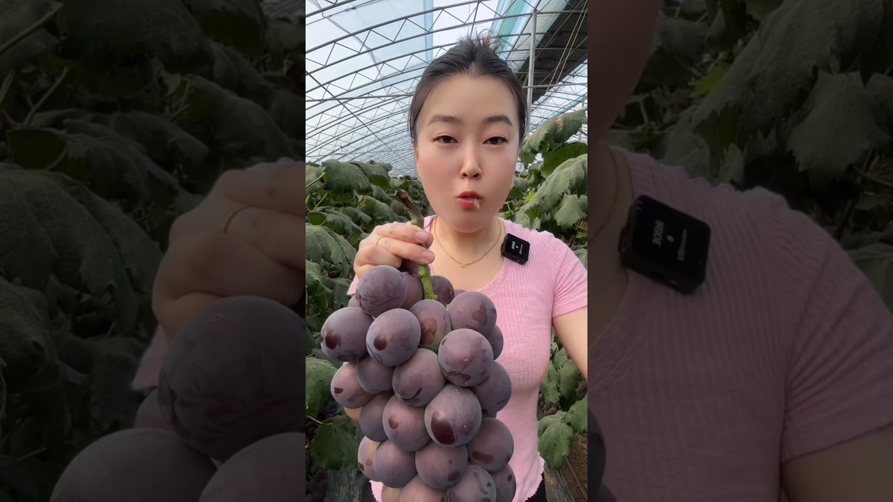 Very tasty and fresh fruits