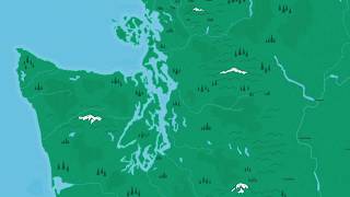 A Look At Nisqually Reach Aquatic Reserve