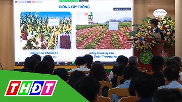 Khoa học công nghệ phục vụ sản xuất nông nghiệp | THDT