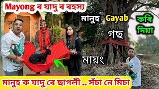 Mayong ত যাদু ৰে মানুহ ক ছাগলী বনাব পাৰে নেকি .. মায়ং ৰ মানুহ Gayab কৰি দিয়া গছ