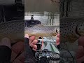 Brown trout compared to Rainbow trout #kayakfishing #troutfishing #fishing #trollingfishing #kayak