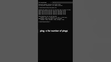 How to Use the Ping Command: A Beginner