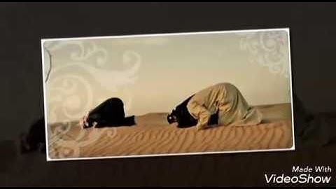 القرآن الكريم قراءة تهز القلب