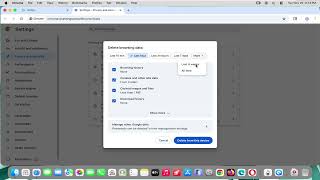 How To Delete Browsing History on Google Chrome in MacBook [Guide]
