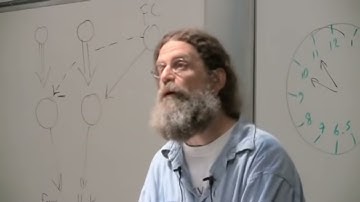 Moral disgust and physical disgust are processed in the same part of the brain (ft. Robert Sapolsky)