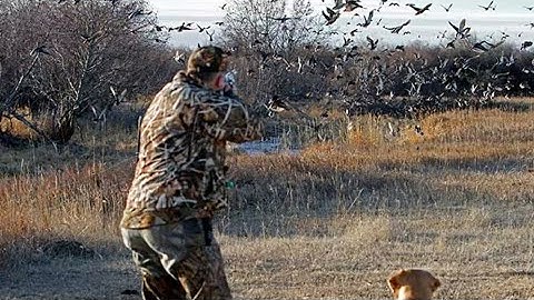 The duck hunting double shot video best video in slow motion 2017