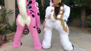 Fursuit Farting