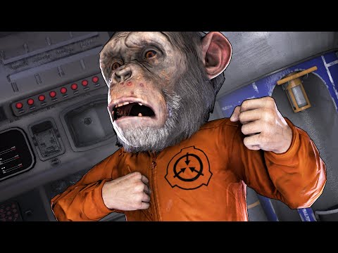 Я БАБУИН! │SCP : SECRET LABORATORY!