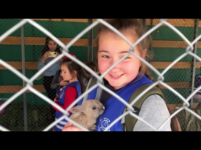 Літо – з користю