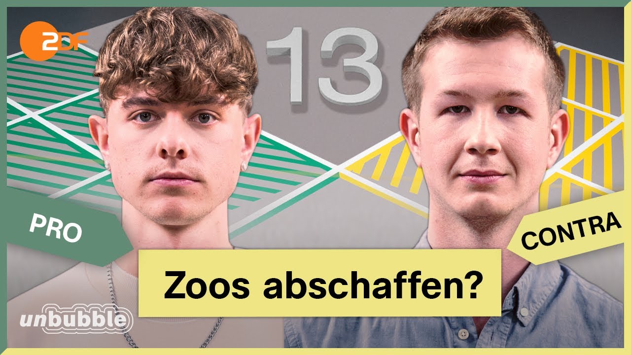 Should zoos exist? | BBC Ideas