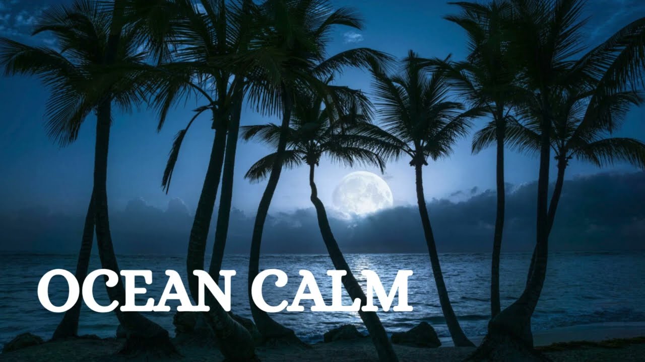 Ocean Calm Nights 🌙 Deep Island Reggae |  Relax Mix #11/1