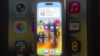 iPhone 17 Pro Display Issue #2
