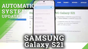 How to Enable Automatic Updates in SAMSUNG Galaxy S21 – Software Update