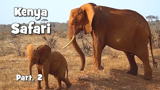 Kenya Safari : Saison 2